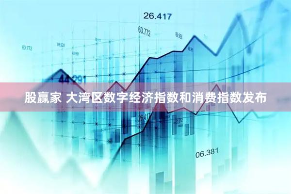 股赢家 大湾区数字经济指数和消费指数发布